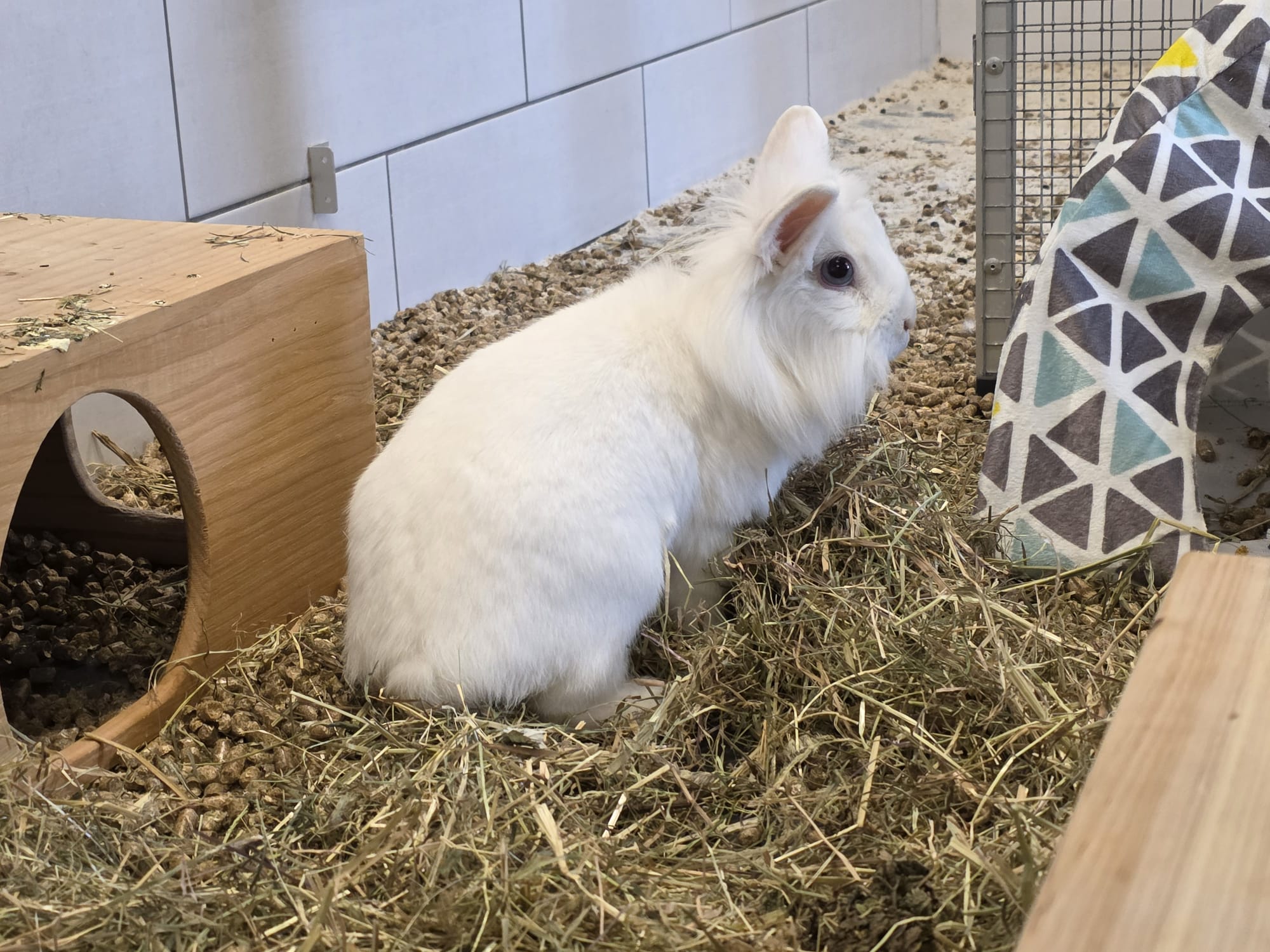 WhatsApp Image 2026-04-05 at 14.49.56.jpeg